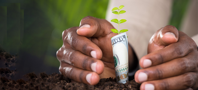 2000-2019: Navigating Economic Turbulence 